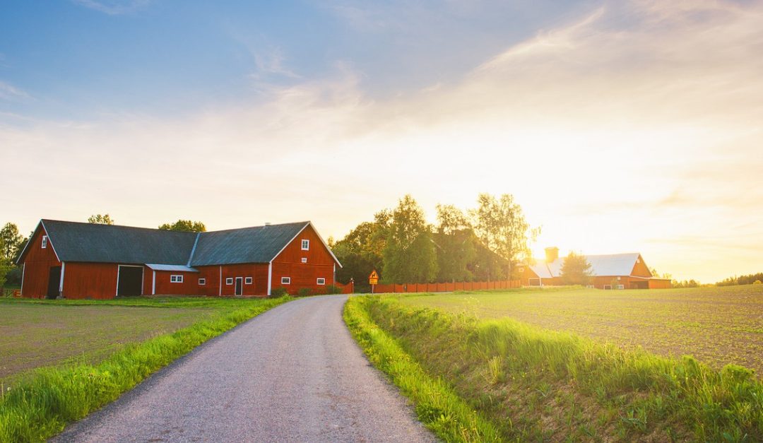 Pros and Cons of Choosing a House in a Rural Area