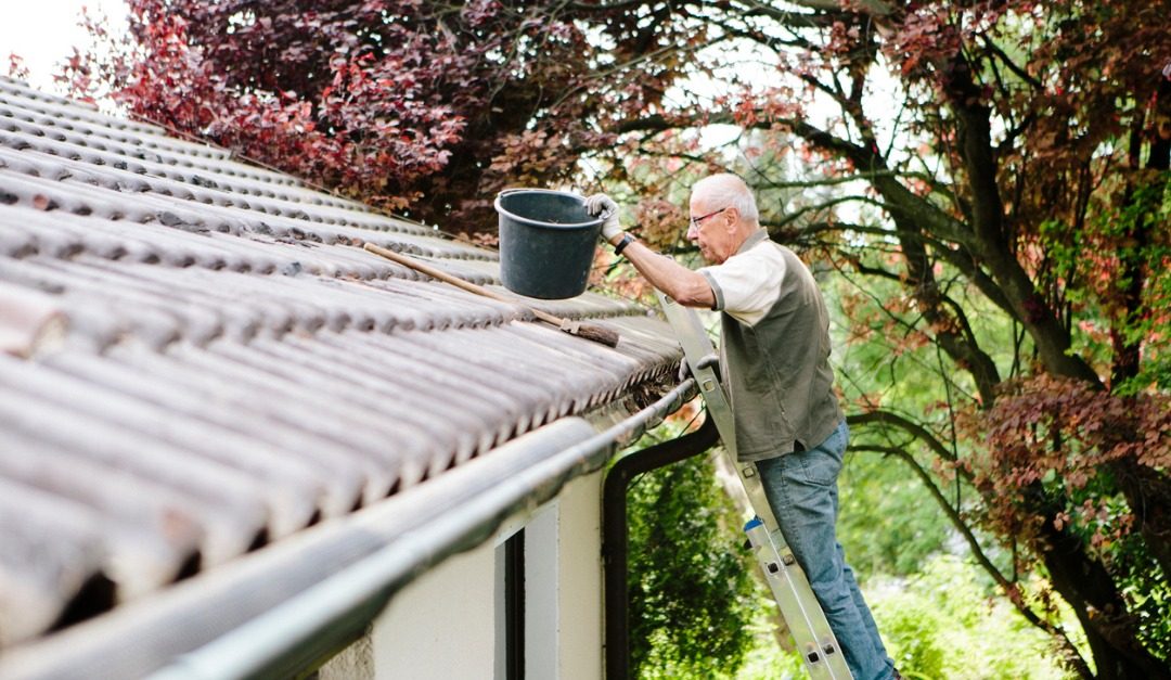 7 Spring Maintenance Musts for Your Home