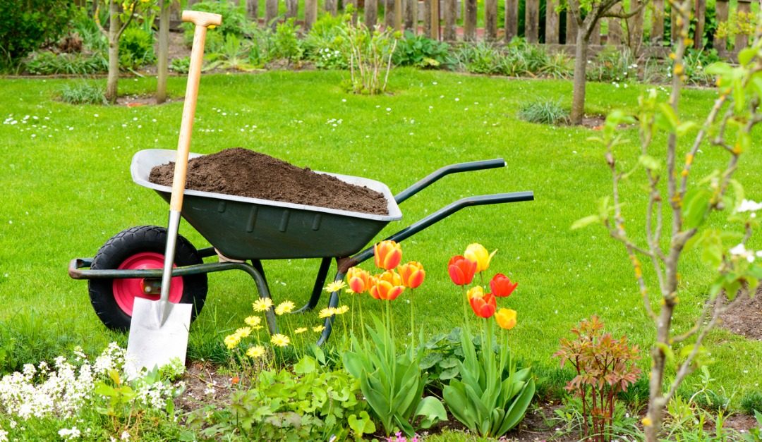 4 Affordable Landscaping Tips