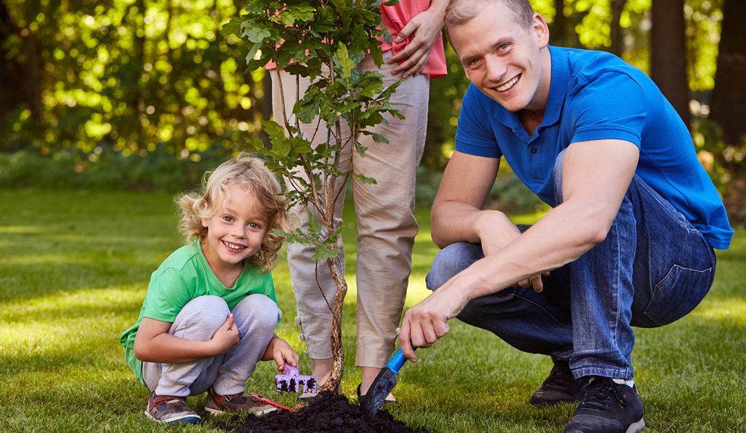 Celebrating Memorial Day at Home
