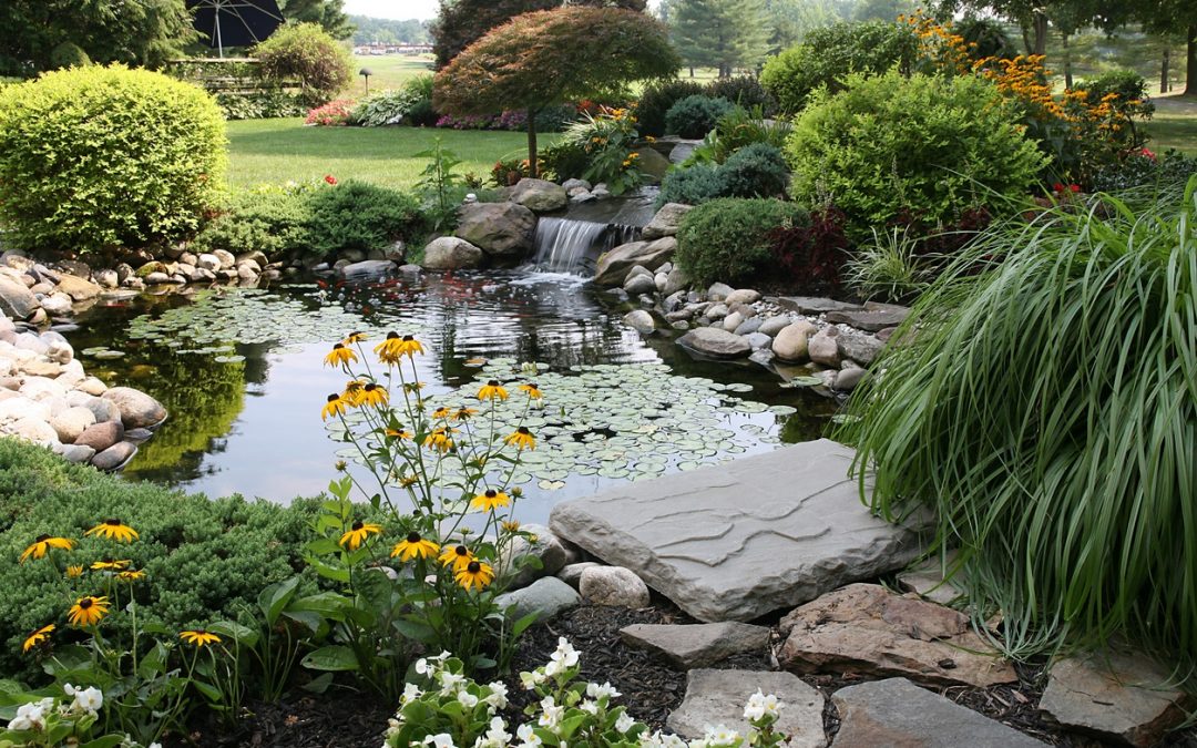 9 Ways to Beautify Your Backyard