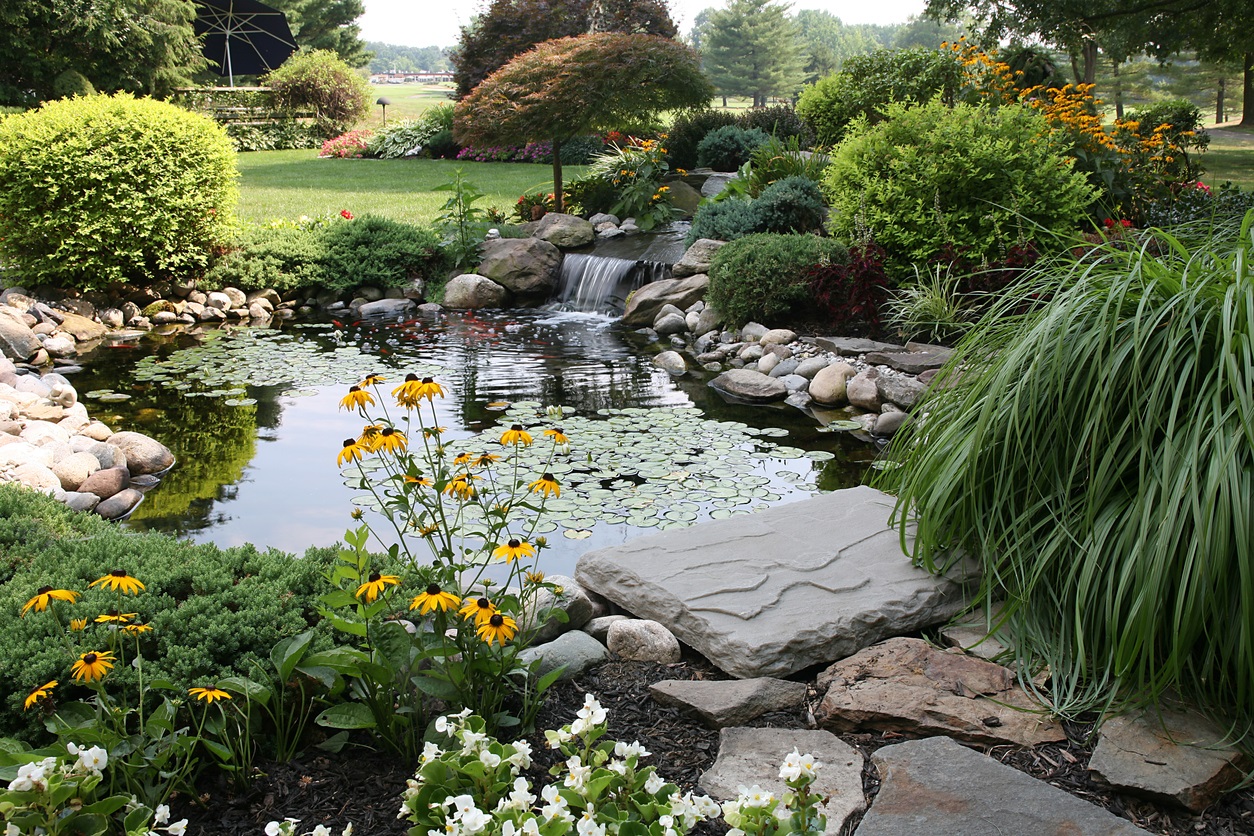 9 Ways to Beautify Your Backyard — RISMedia