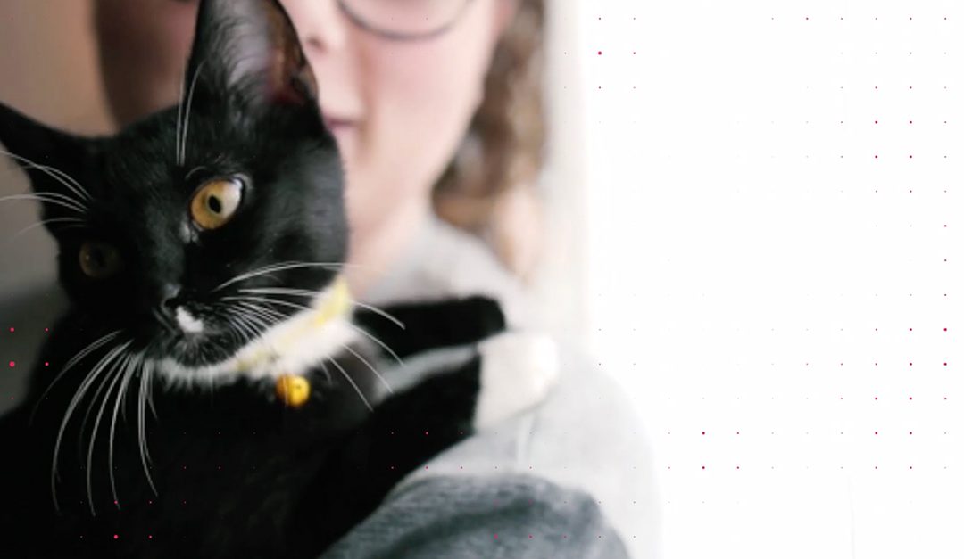 Negotiating With a Landlord Over Pets