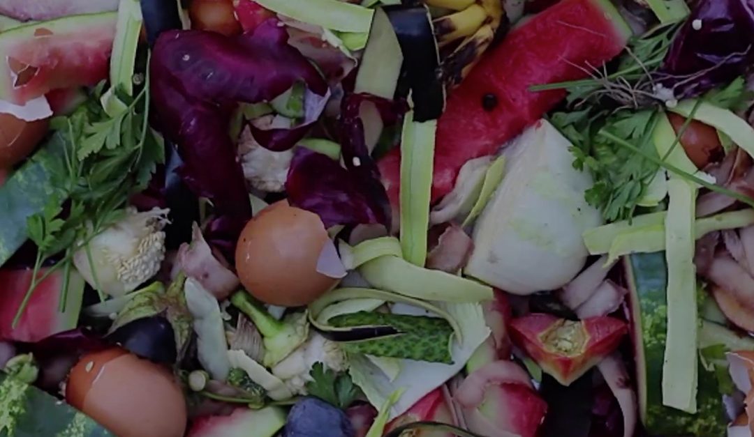 How to Cut Food Waste and Save Money