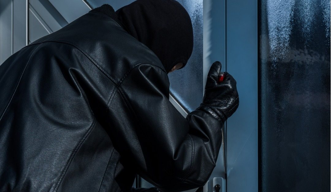5 Things Professional Burglars Don’t Want You to Know