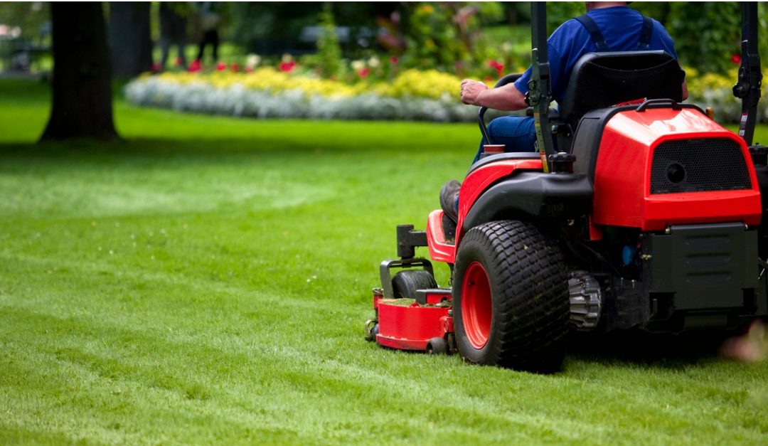 Should You Handle Lawn Care Yourself or Hire a Landscaper?