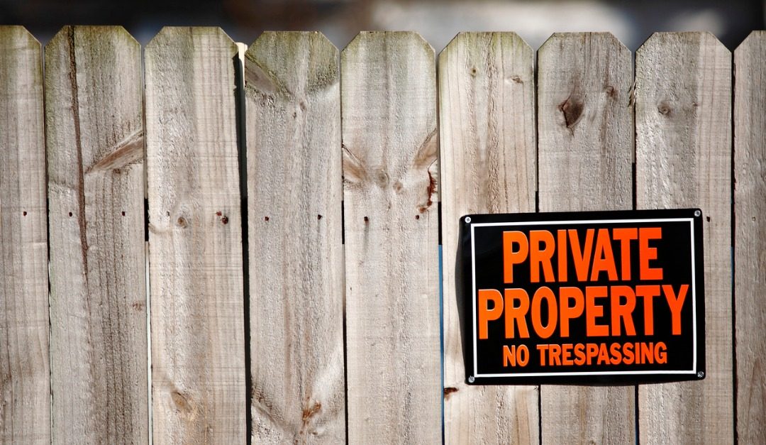 What to Do If Neighborhood Kids Like to Play in Your Yard