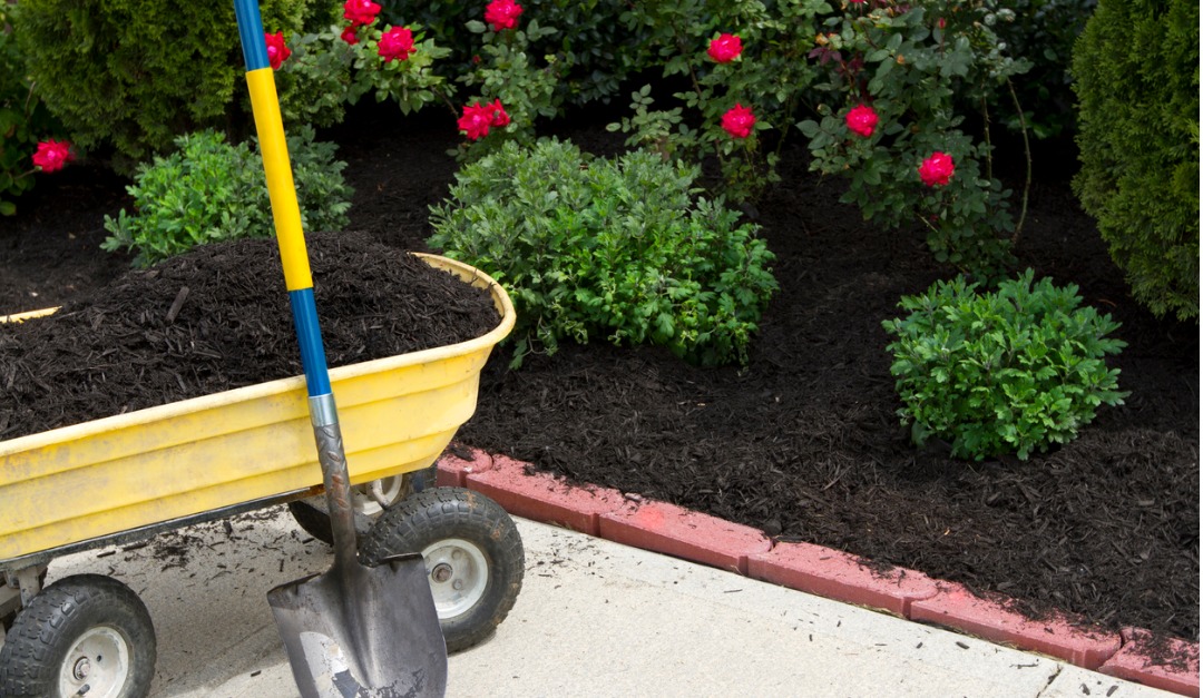 5 Quick Outdoor Fixes for Home Upkeep