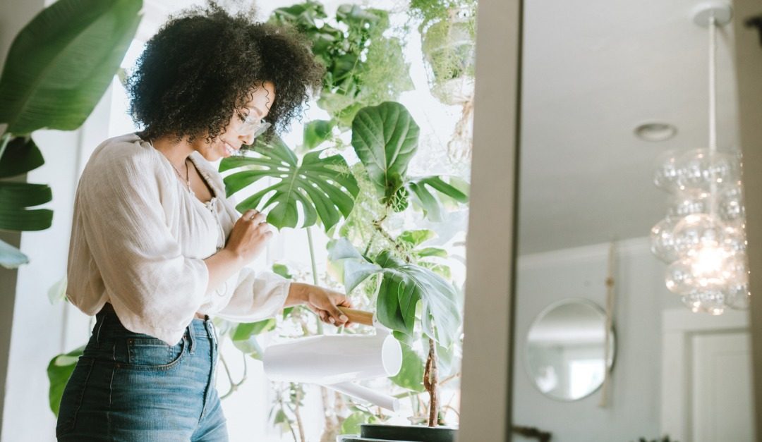 Why Plants May Be Good for Improving Your Mood