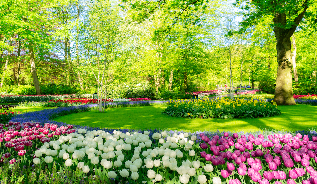 5 Types of Gardens to Beautify Your Home