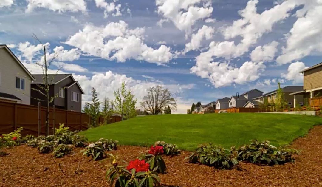 How to Maintain a Healthy Lawn