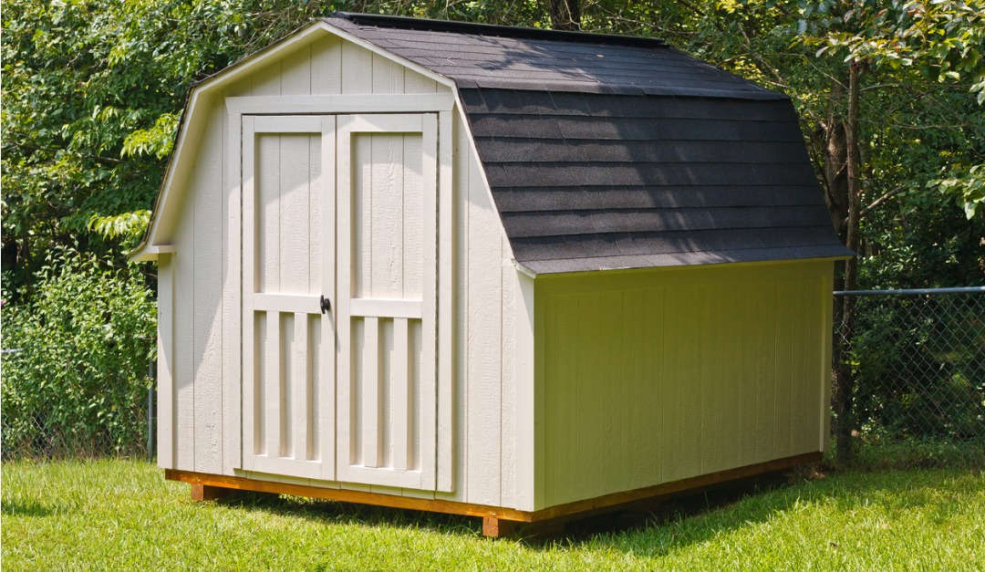 How to Keep Animals and Insects out of Your Shed