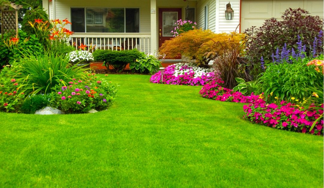 How to Keep Your Grass Healthy