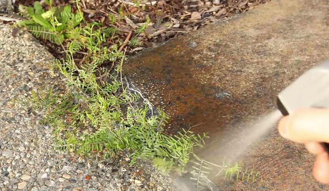 Fight Back Against Weeds