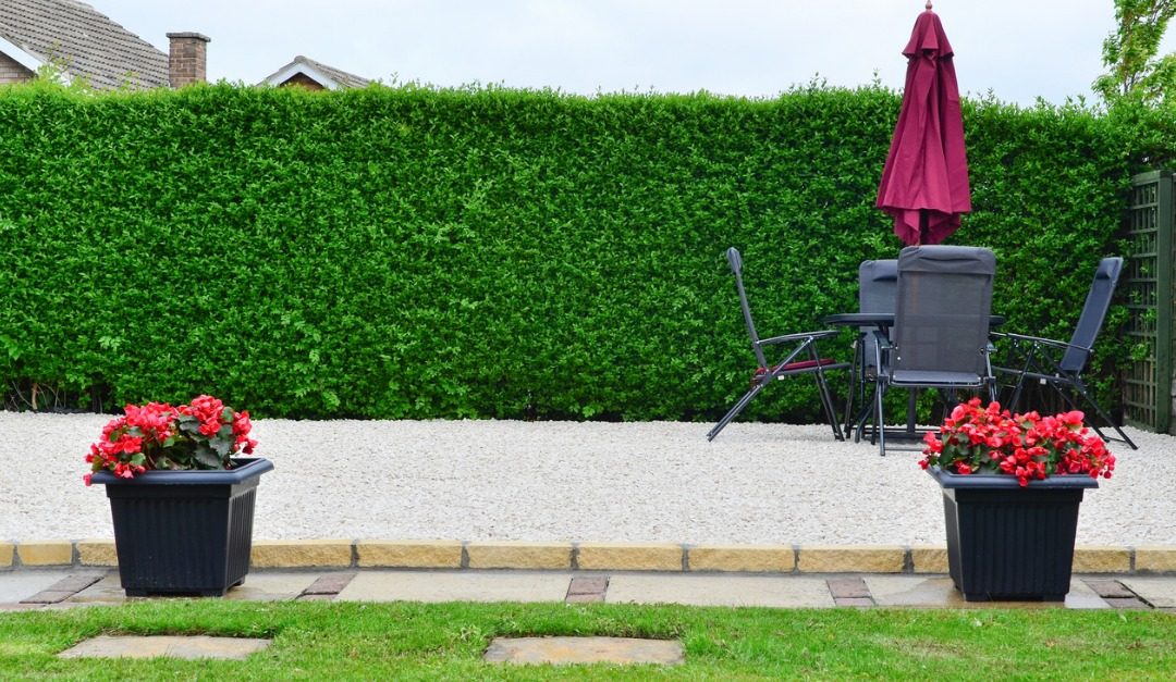 How to Make Your Yard More Private