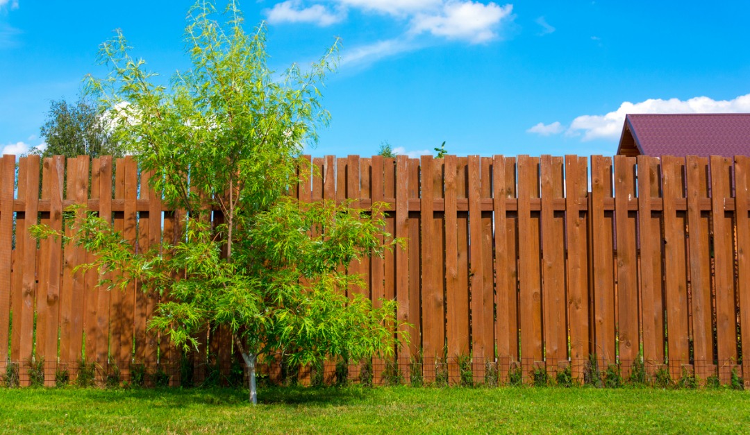 Should You Fence in Your Yard?