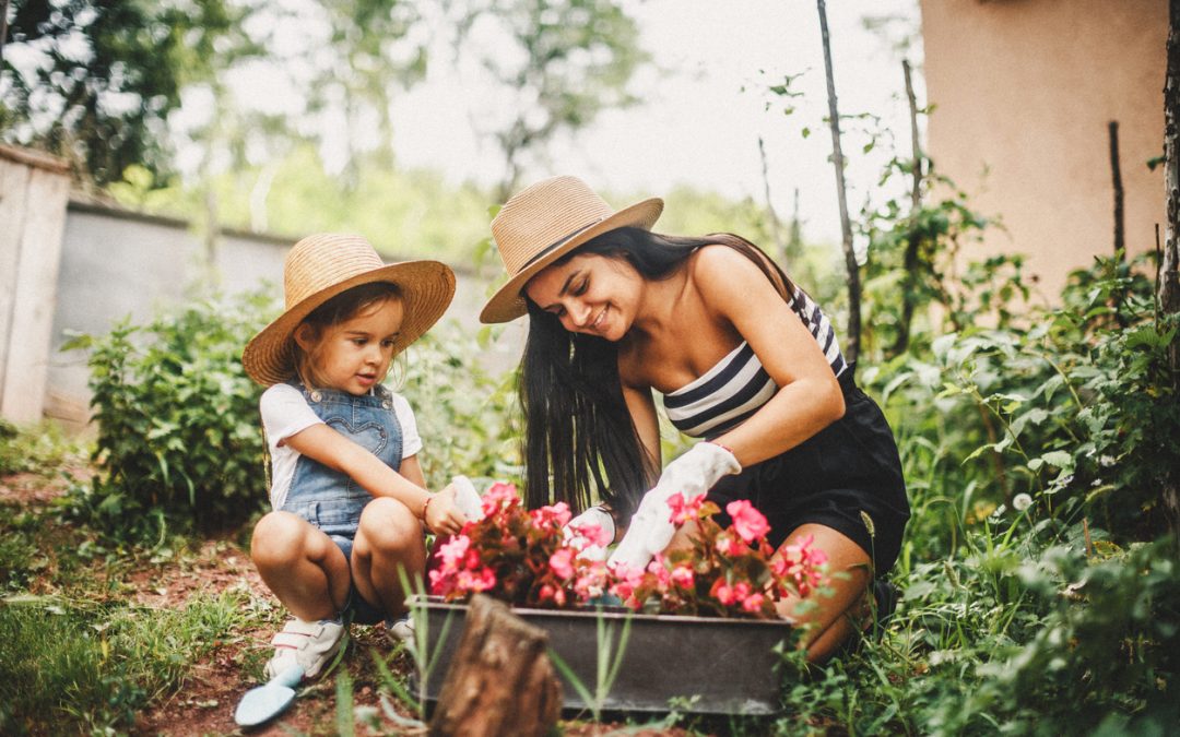 Budget-Friendly Gardening Tips for Beginners