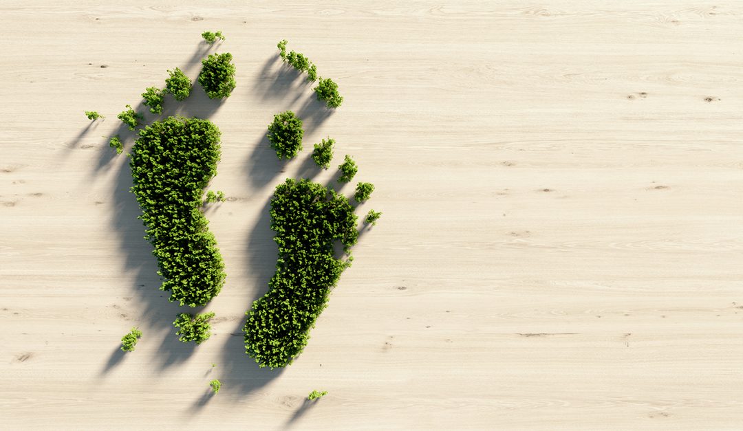 5 Simple Ways to Reduce Your Carbon Footprint