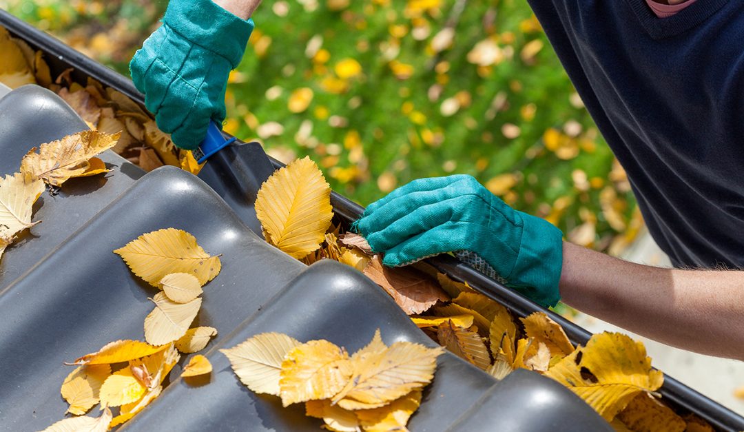 7 Fall Home Care Projects to Tackle This Weekend