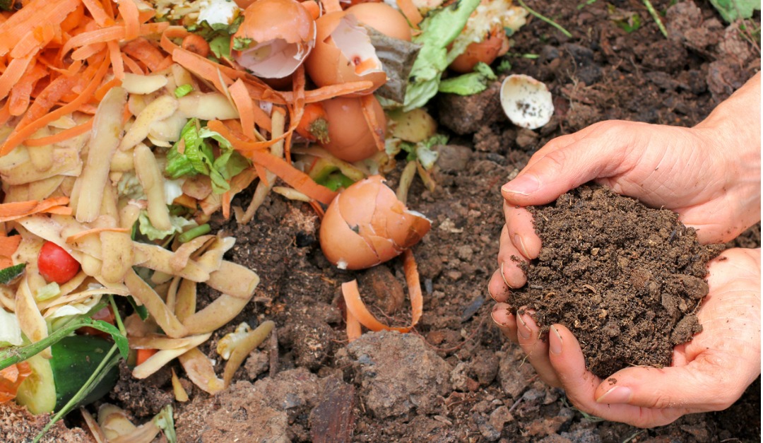 Why and How to Make Your Own Compost