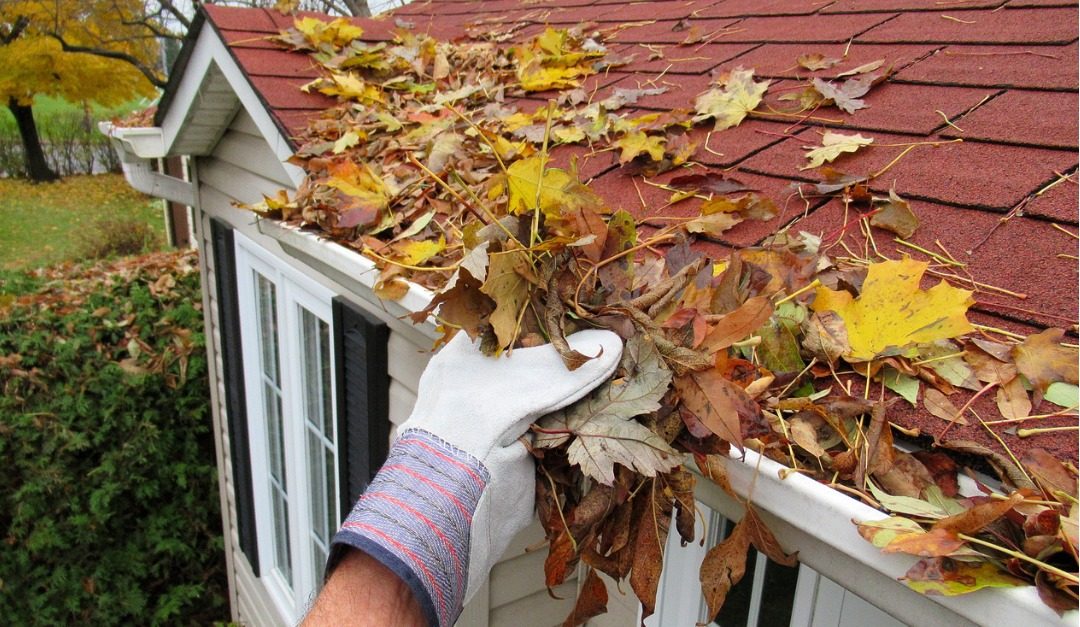 Things You Should Do in the Summer and Fall to Prepare Your Home for Winter