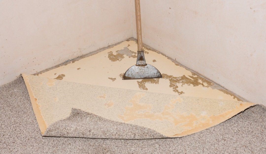 Getting Rid of Carpet Glue When Renovating