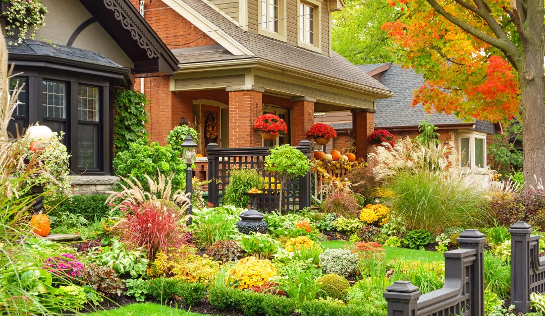 What to Plant in Fall