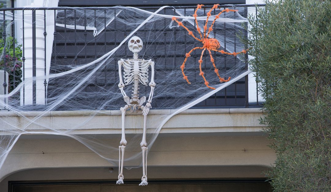 5 Tips for a Greener Halloween