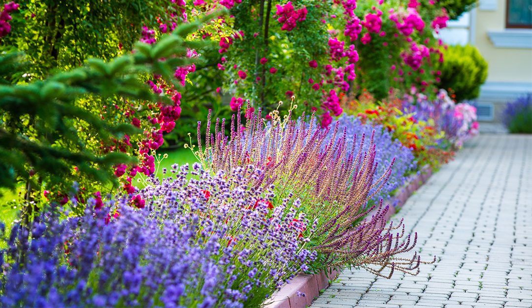 Ways to Spruce Up Your Backyard