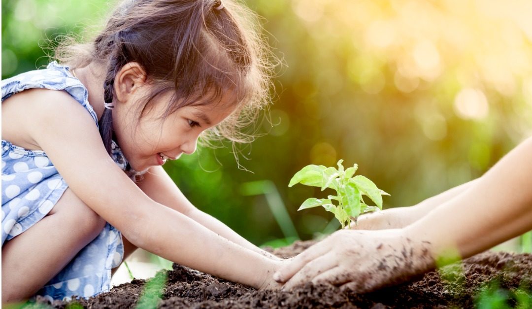 DIY Garden Beds That Your Kids Will Dig