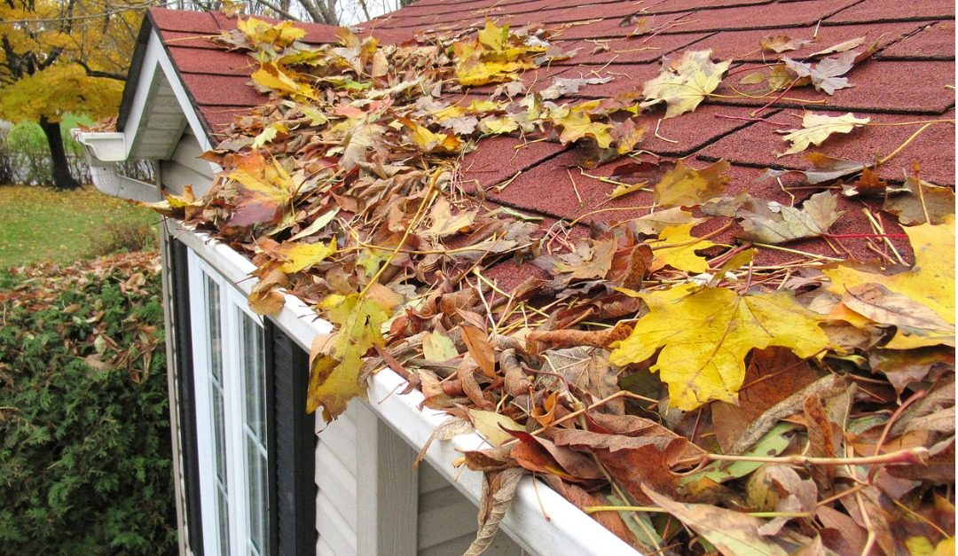 How to Clean Your Gutters in 5 Steps