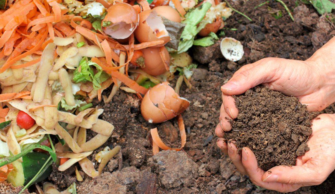 Composting Can Help the Environment and Your Wallet