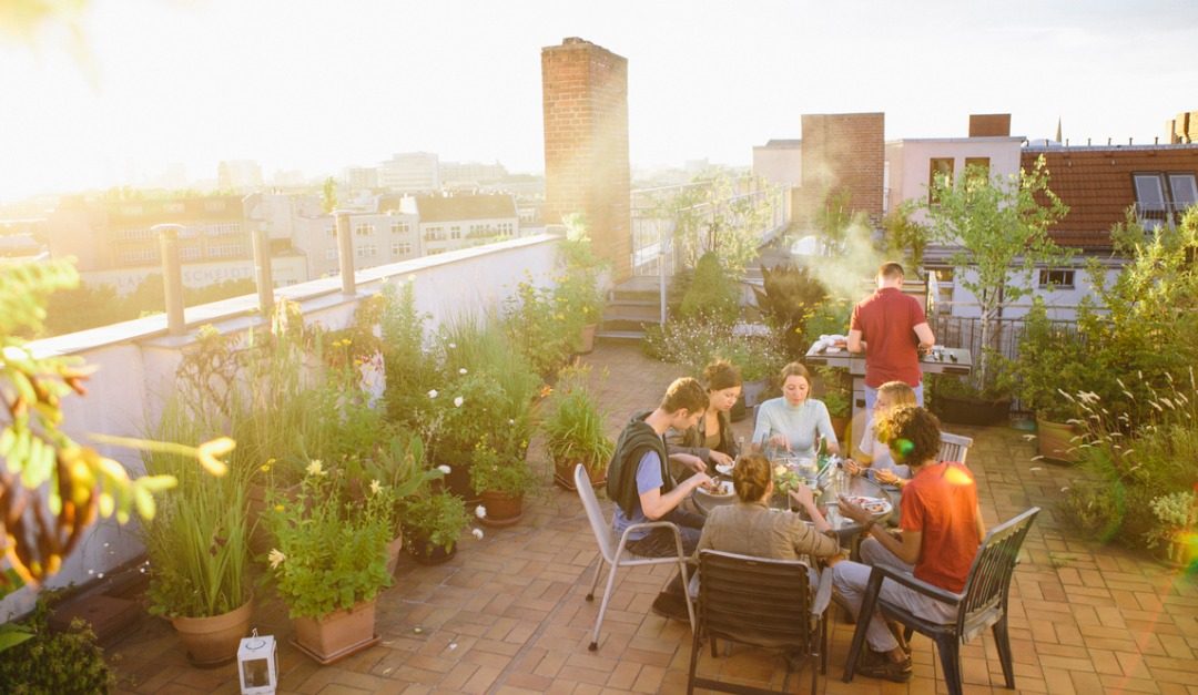 How to Design the Perfect Rooftop Garden