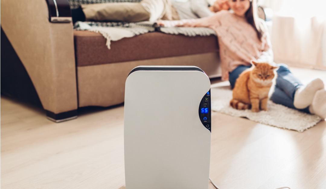 4 Reasons to Get an Air Purifier for Your Home