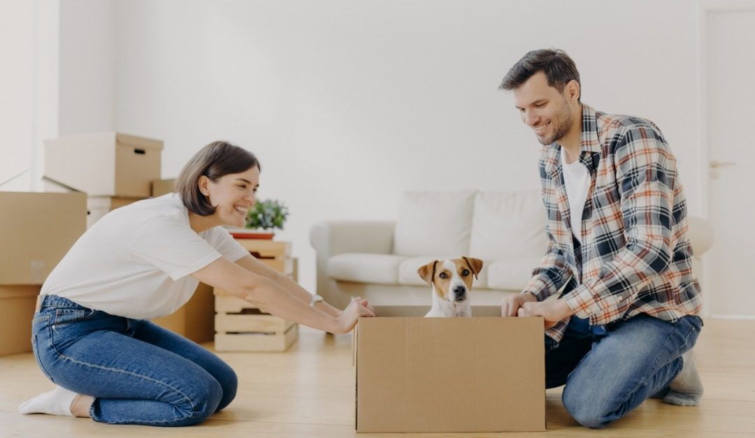 Helpful Tips for Moving Pets Into a New Home