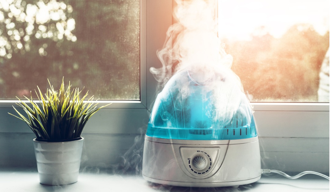 Why You Need an Air Purifier in Your Home