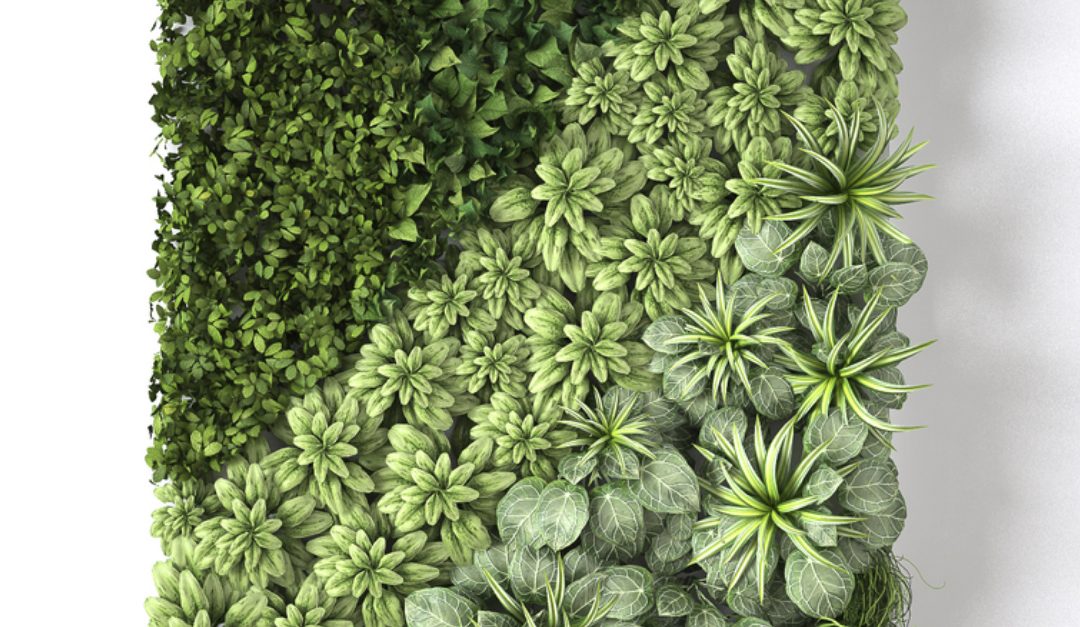 How to Design an Indoor Vertical Garden