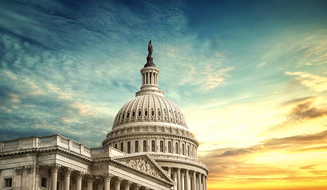 Capitol Hill Update: NAR’s 2019 Political Advocacy Efforts