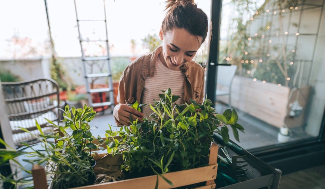 4 Home Improvements That Attract Eco-Friendly Homebuyers