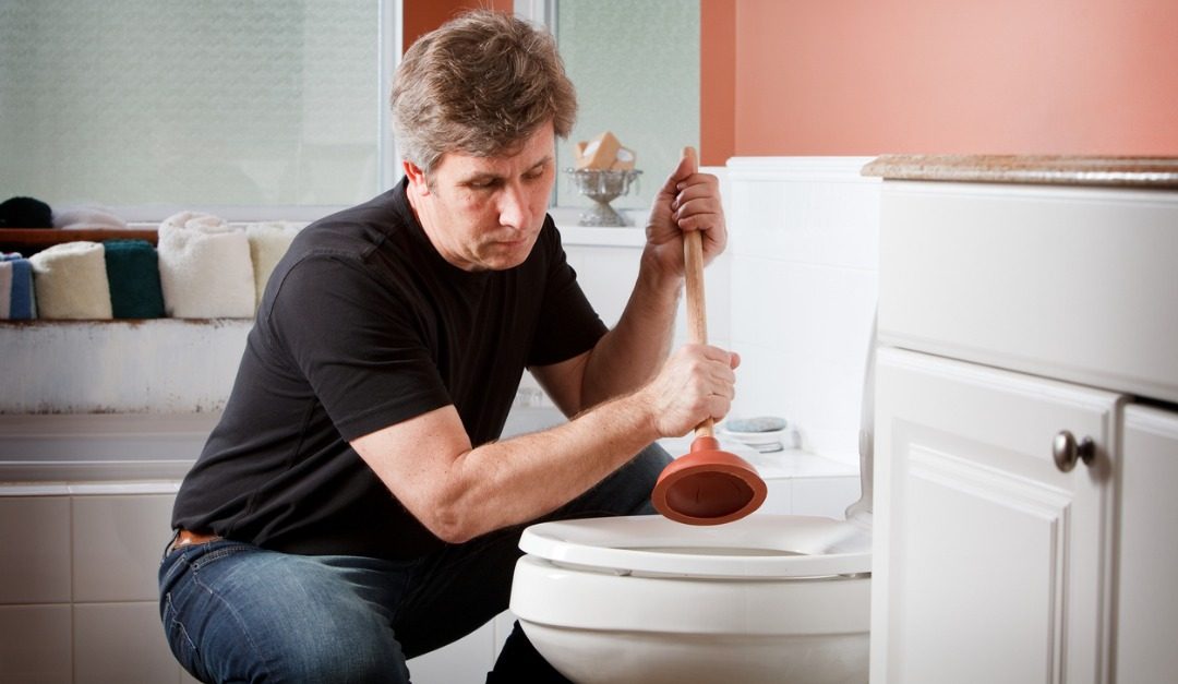 Don’t Flush These 8 Items Down Your Toilet