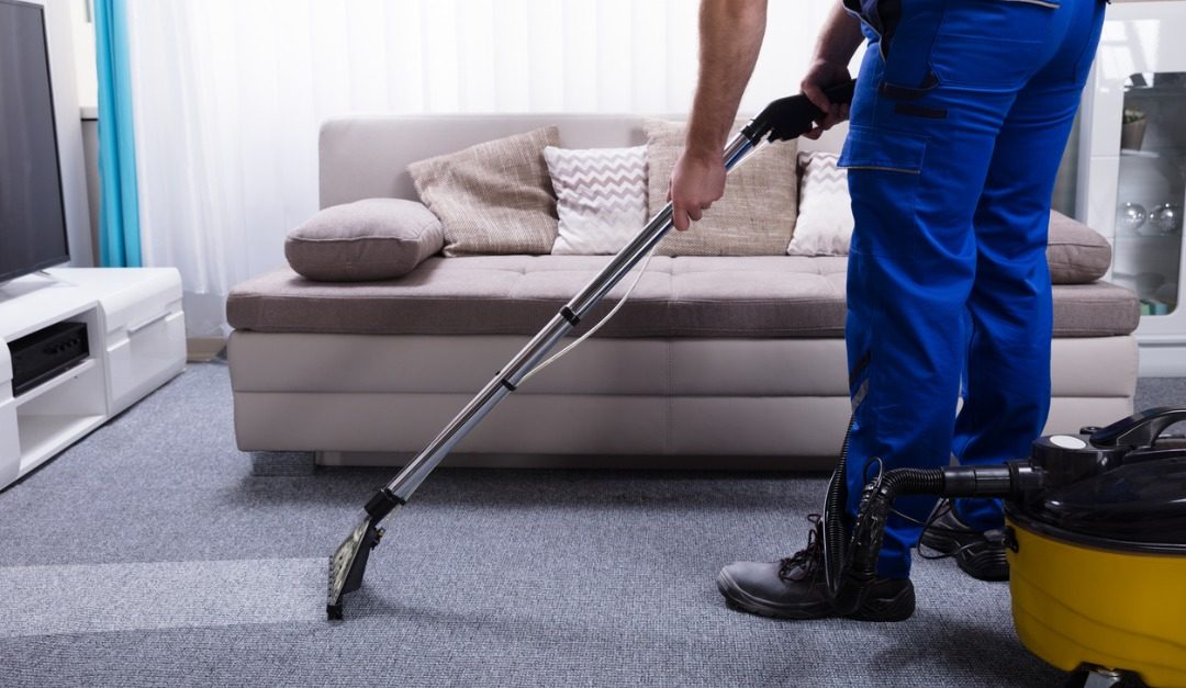 Tips for Buying a Home Where Pets Lived