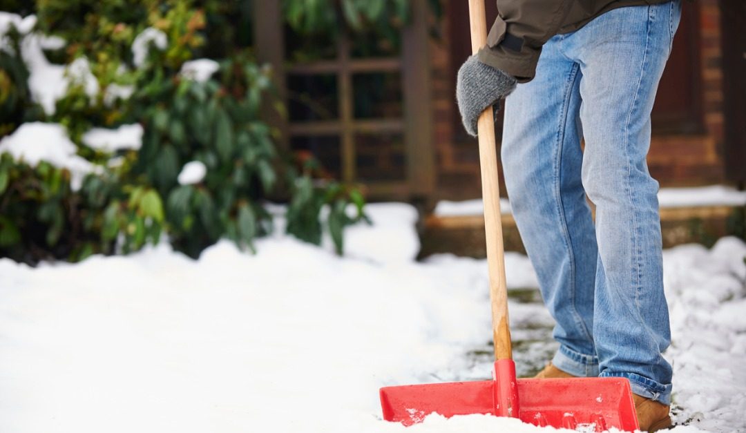 Winter Safety Tips for Your Yard