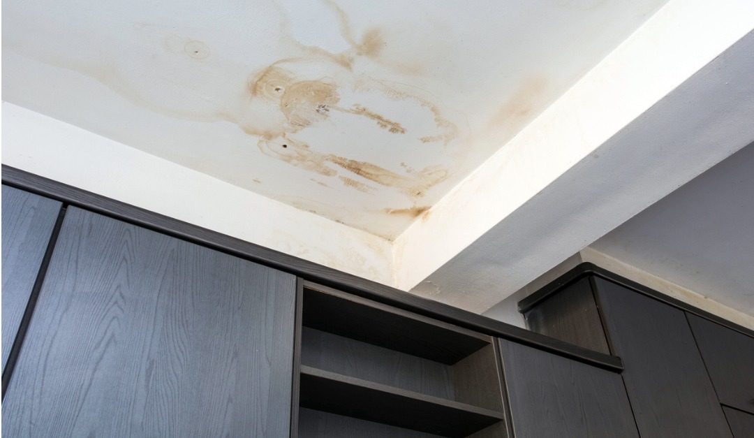 Signs That Your House Has Hidden Water Damage