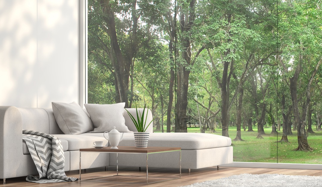 What You Should Know About Biophilic Home Design