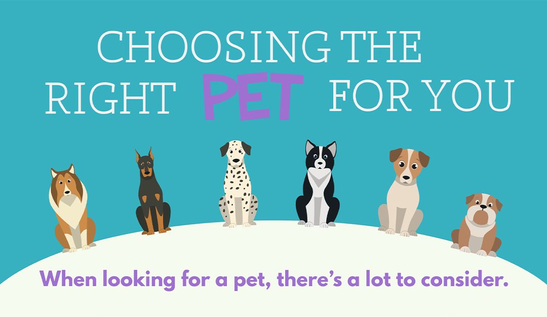 Choosing the Right Pet for You