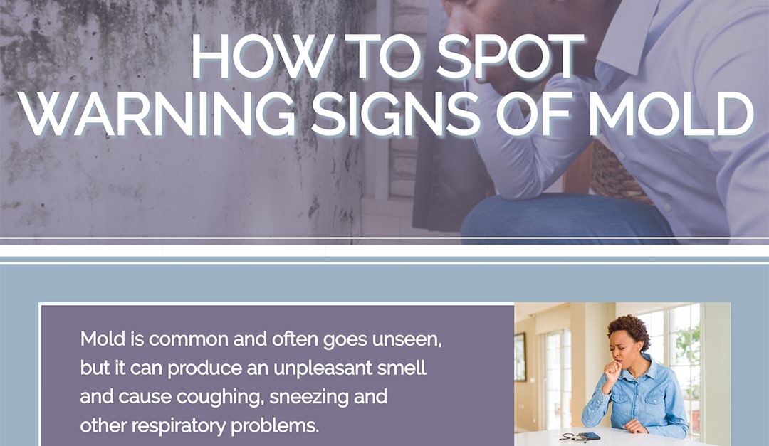 How to Spot Warning Signs of Mold