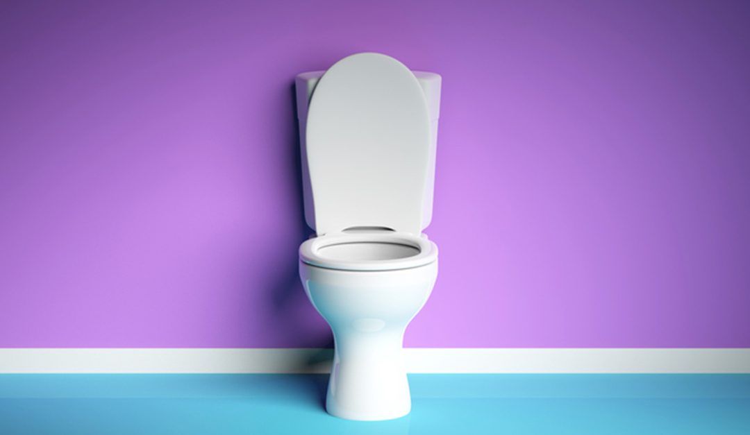 Items You Should Never Flush Down Your Toilet