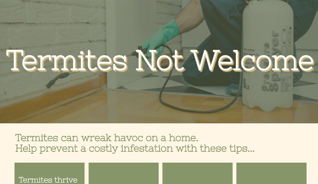 Termites Not Welcome