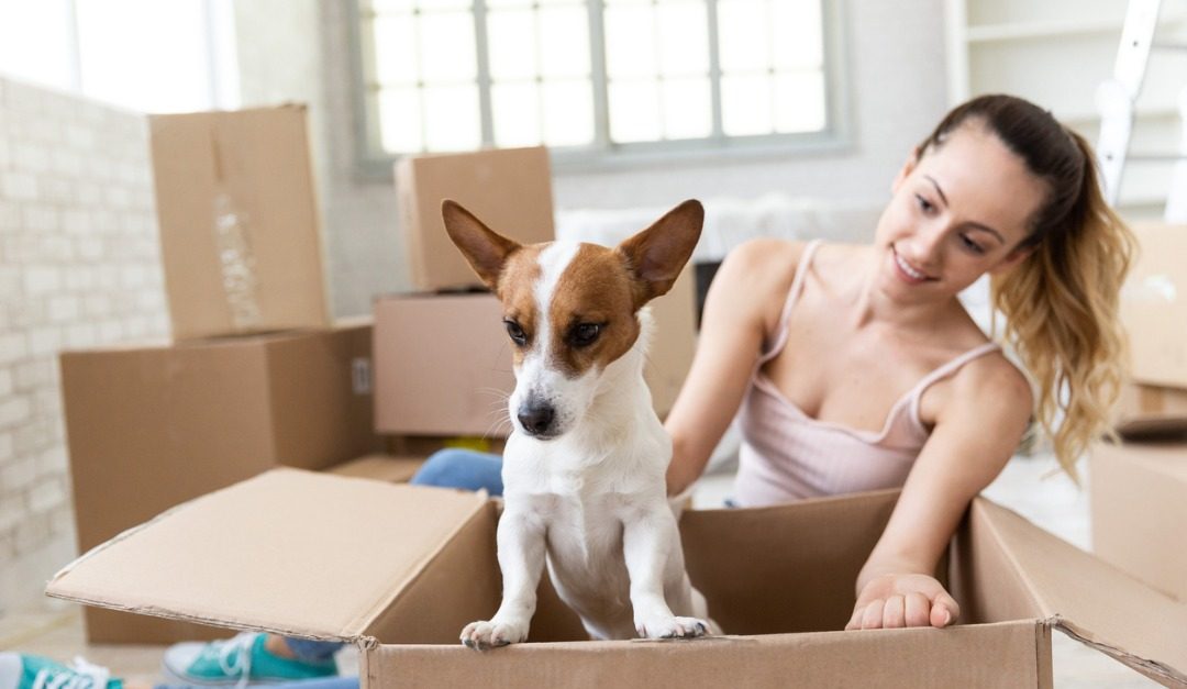 Moving a Pet Into an Apartment