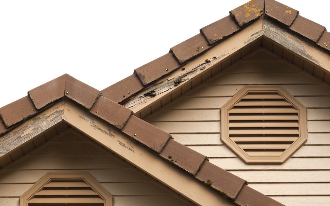 4 Signs Termites Have Made Themselves at Home in Your Home